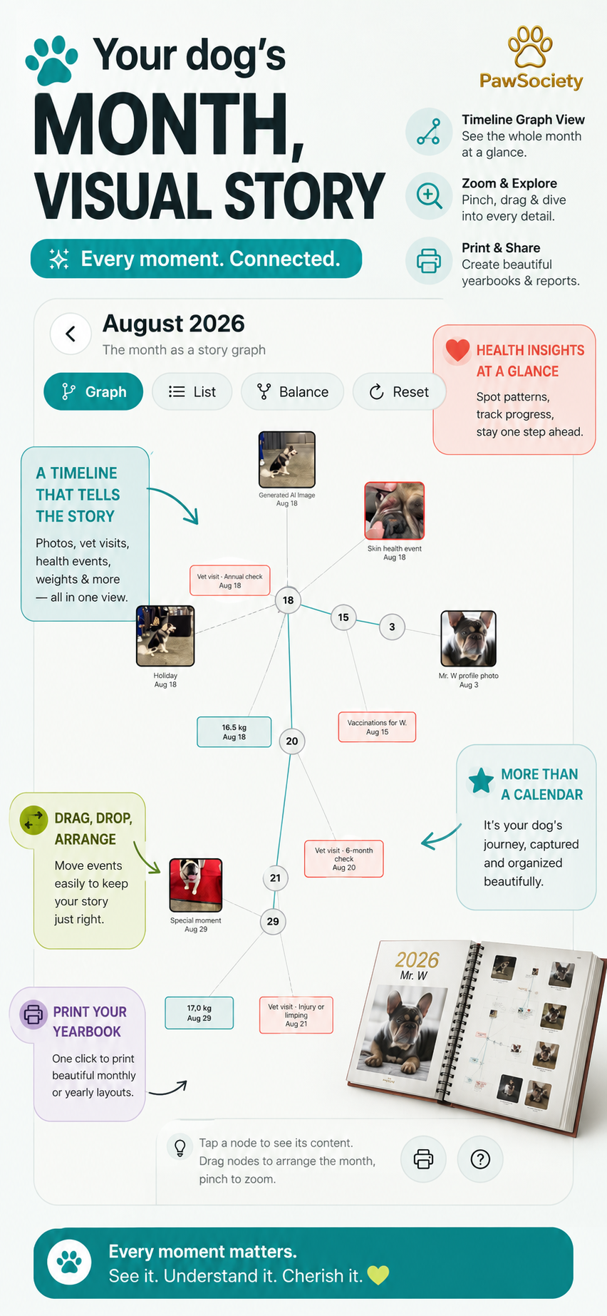 PawSociety visual story graph